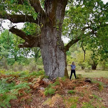 Domaine De La Tapie * Bourriot-Bergonce