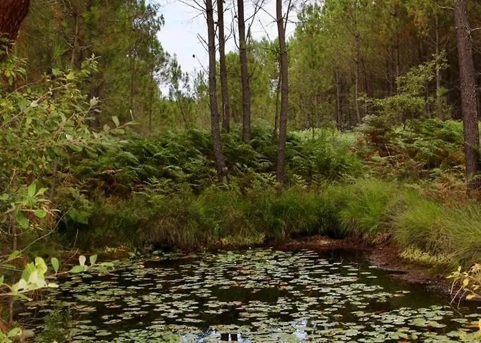 Domaine De La Tapie 펜션 *