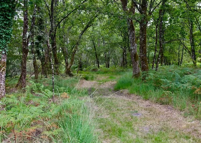 펜션 Domaine De La Tapie Bourriot-Bergonce